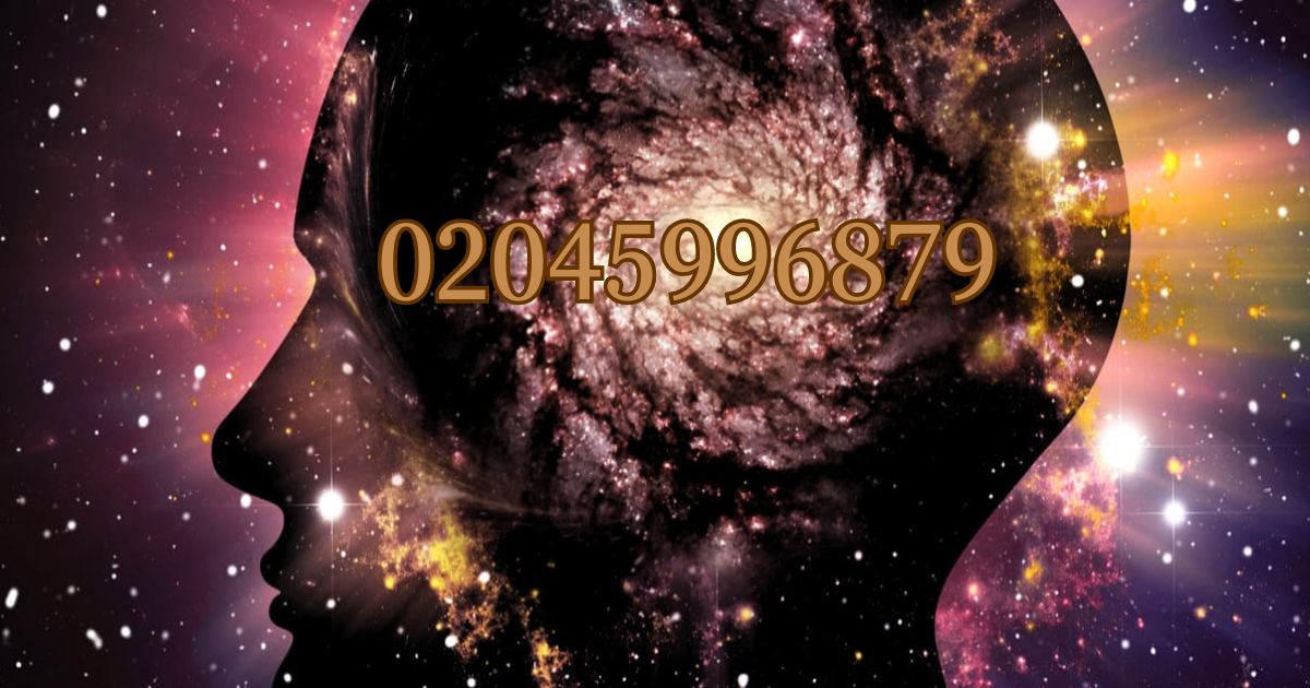 02045996879