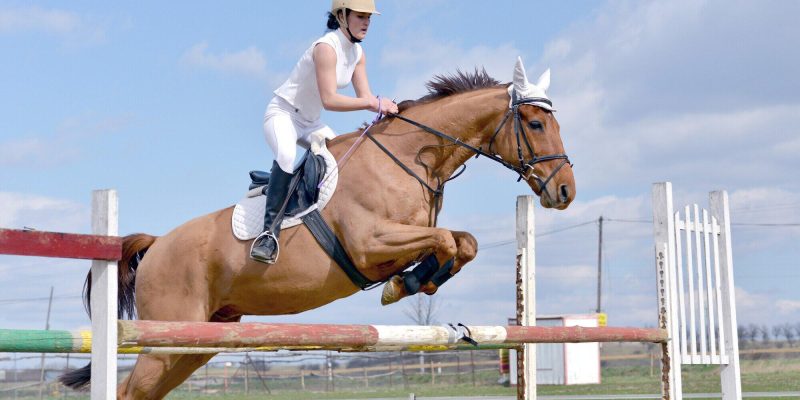 show jumping at kentuckythreedayevent.com