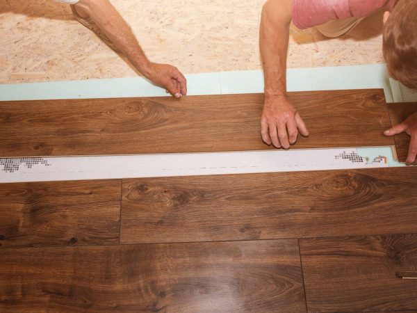  Orlando mold inspection