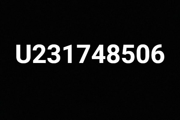 U231748506