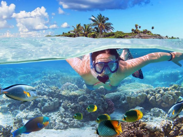 if you go snorkeling