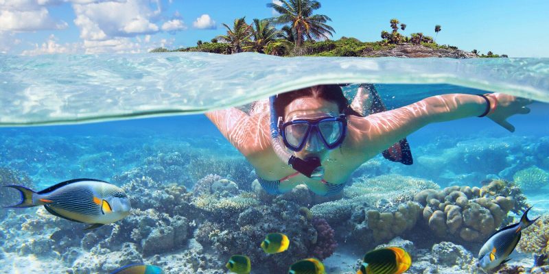 if you go snorkeling