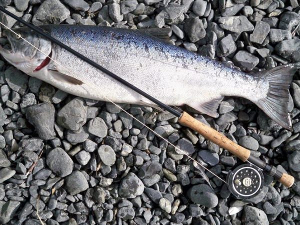 halibut fishing in Juneau, AK