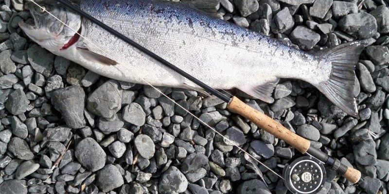 halibut fishing in Juneau, AK