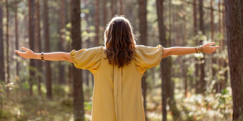 Online courses from Swami Premodaya