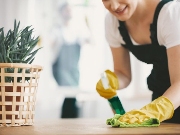 professional cleaner