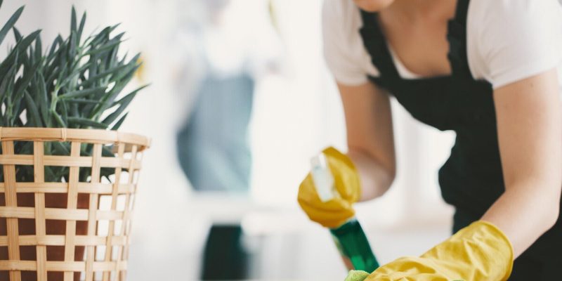 professional cleaner