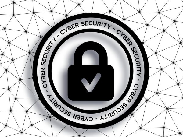 security consultation