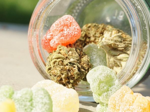 sativa edibles