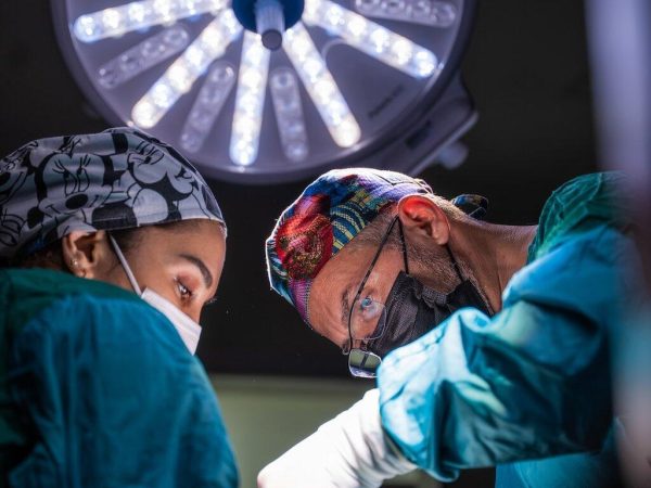 board of surgery verification