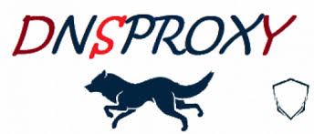 DNSProxy.org DDOS Protection: Your Ultimate Shield